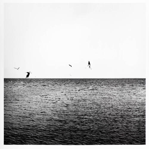 Black and white photograph, top half is white sky with birds, bottom half is dark water with small waves.